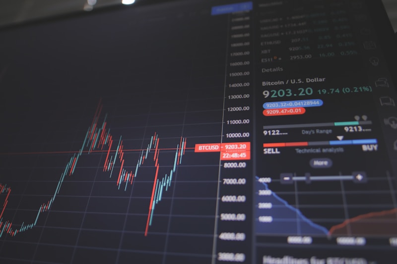 Profit and financial returns
